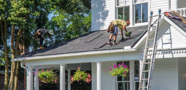 Roof Gutter Cleaning in Lackawanna, NY
